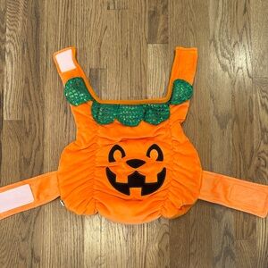 Festive Pumpkin Dog Costume - Orange & Green
